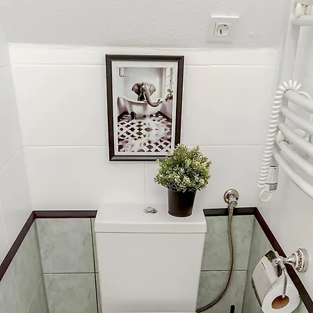 Newly Renovated Romantic Rovinj