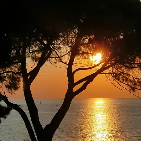 Newly Renovated Apartament Rovinj
