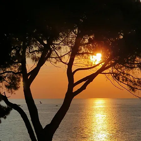Newly Renovated Romantic Appartement Rovinj